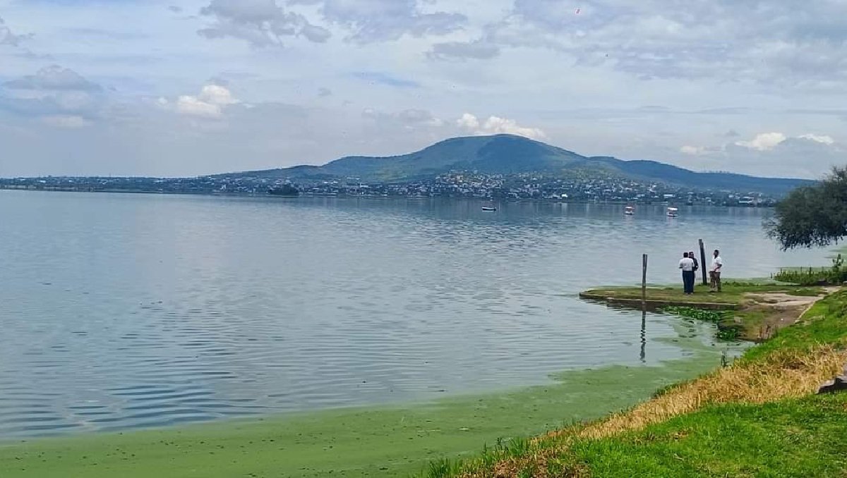 Inician rehabilitación de bordos y humedales en la Laguna de Zumpango